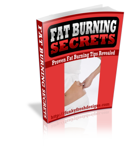 Fat Burning Secrets ECover 25